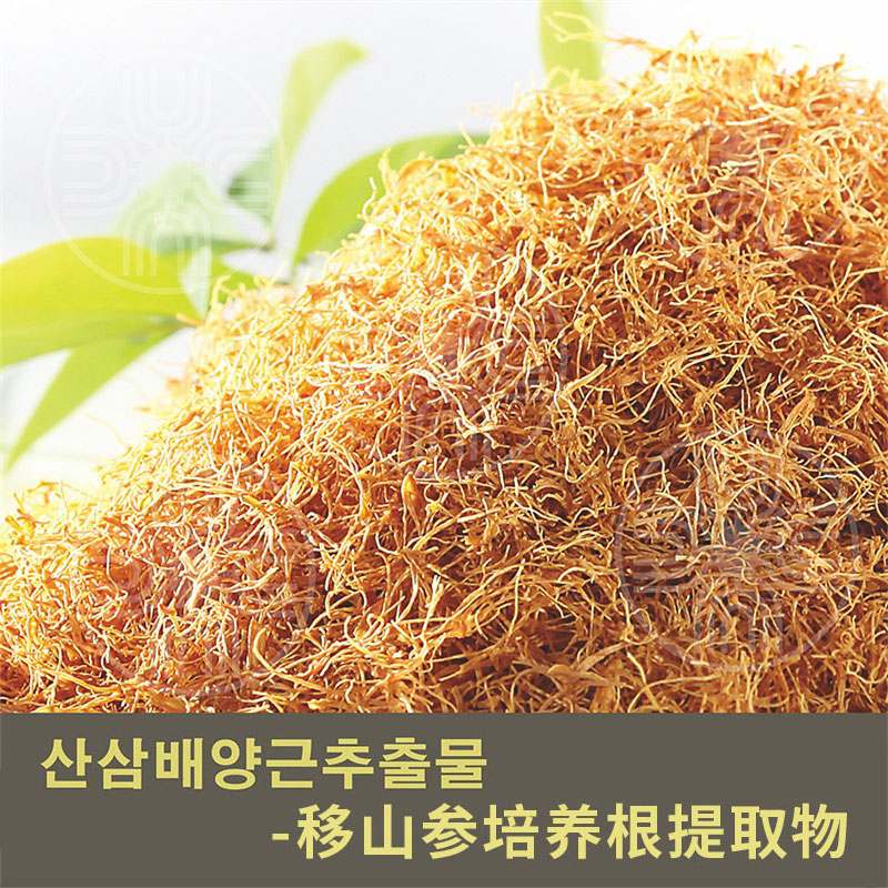 移山參培養根提取物